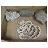 Shells, gem rocks
