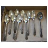 Plated spoons