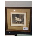 Framed 'Duck and Ducklings' Print by W. J. T. Herr