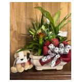 BULLDOG WARMIE & REAL INDOOR PLANTS IN CONTAINER