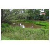 3 BR 1.5 BA Home on 1.2 Acres in Carroll County, VA - Sells to the Highest Bidder!
