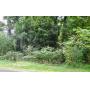 2 Acre Wooded Lot in Loudon County Online Only Bidding