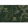 144 Acres in Madison County VA
