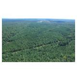  175  Acres of Timber Land Online Only Bidding