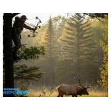 Sporting Goods & Firearms Auction (NO MINS OR RESERVES!) 9/16/2025 (SSLFirearms.com auction)