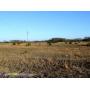 LASTBIDrealestate.com: Approximately 28 BANK OWNED Vacant Acres - 3/13/18