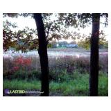 LASTBIDrealestate.com: Beautiful Lakefront Lot with Frontage on Center Lake - 4/10/18