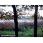 LASTBIDrealestate.com: Beautiful Lakefront Lot with Frontage on Center Lake - 4/10/18