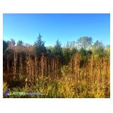LASTBIDrealestate.com - 6.23 Vacant Commercial Acres in Belleville, MI - 4/10/18