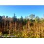 LASTBIDrealestate.com - 6.23 Vacant Commercial Acres in Belleville, MI - 4/10/18