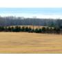 ONLINE AUCTION - Approximately 72 Acres of Beautiful Vacant Land