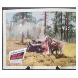 Lobby card #3, "Trail of Robin Hood"