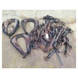 Horse tack