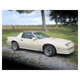Car, Trailers, Guns, Horse, Workshop, Antiques & more