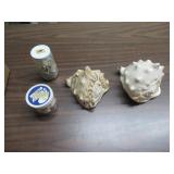 SEA SHELLS