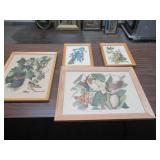 BIRD PRINTS QTY (4) 22" X 7", 15" X 19", 10" X 12