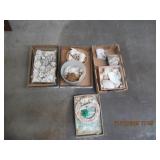 LOT OF SEA SHELLS