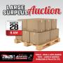 Large Surplus Auction