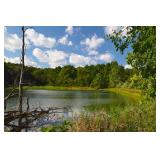 143 ACRE PERRY COUNTY AUCTION