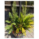 Mexican pottery and plant