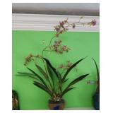 Large Silk Orchid arrangement