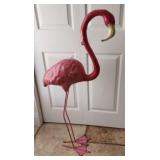 Indoor Flamingo