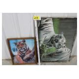 2 Tiger pictures