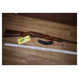 Ruger Model 10/22 LR