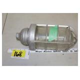 Industrial light w/cage