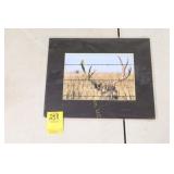 Signed & Matted Mule Deer Photo