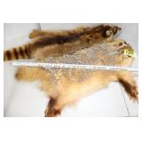 Badger & Raccoon pelts