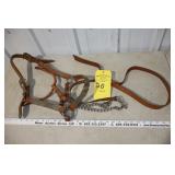 Silver Show Halter