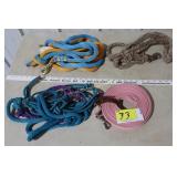 Lunge line, halters, lead ropes