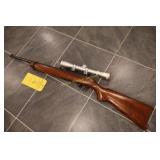 Ruger 10/22 with scope