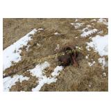 Rebuilt Head for International 120 Mower & Sickle