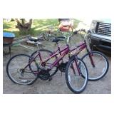 2 - Roadmaster Bicycles