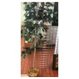 Approx 6 foot faux ficus tree