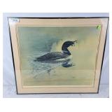 Michael Dumas framed loon picture