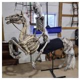 Large Foam Skeleton & Horse - Battery Powered,