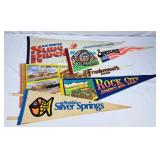 Vintage Souvenir Pennants
