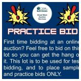 First time bidding at an online auction?