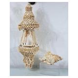 Seashell Hanger & Large Conch Shell