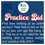 First time bidding at an online auction?