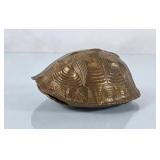 Vintage Brass Turtle Shell Paperweight