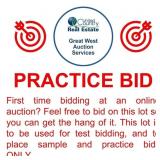 First time bidding at an online auction?