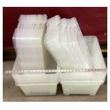 10 Tubs with Lids, 10 Extra Lids