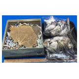 Lot of Seashells, Drift Wood & Aquatic Fossils