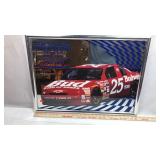 Backyard 400 NASCAR Mirrored Graphic