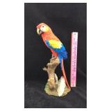 Colorful Parrot Statue