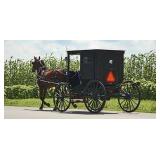 Amish Spring Auction